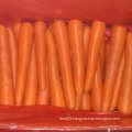 New Harvest Good Quality of Fresh Carrot